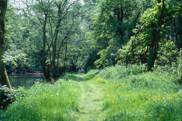 Forêt de Sénart